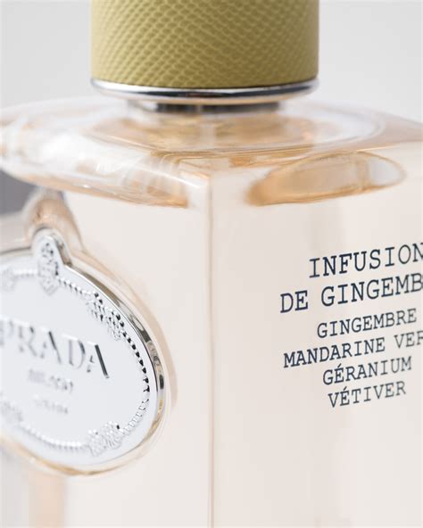 prada infusion ginger|prada gingembre parfum.